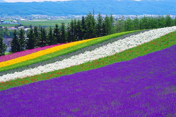 ホテル ふるさと富良野（ふる郷荘） 富良野市 エクステリア 写真